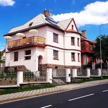 Vila Nejdek - Erzgebirge Exterior photo